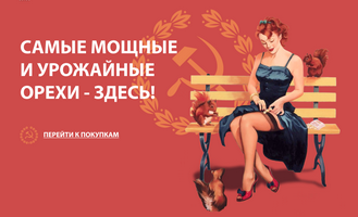 Самые мощные и урожайные орехи