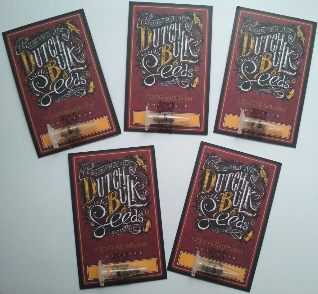 От Совкового информбюро: скучные вести о пополнении