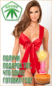 Получи подарок тот, что Sovoc готовил год!