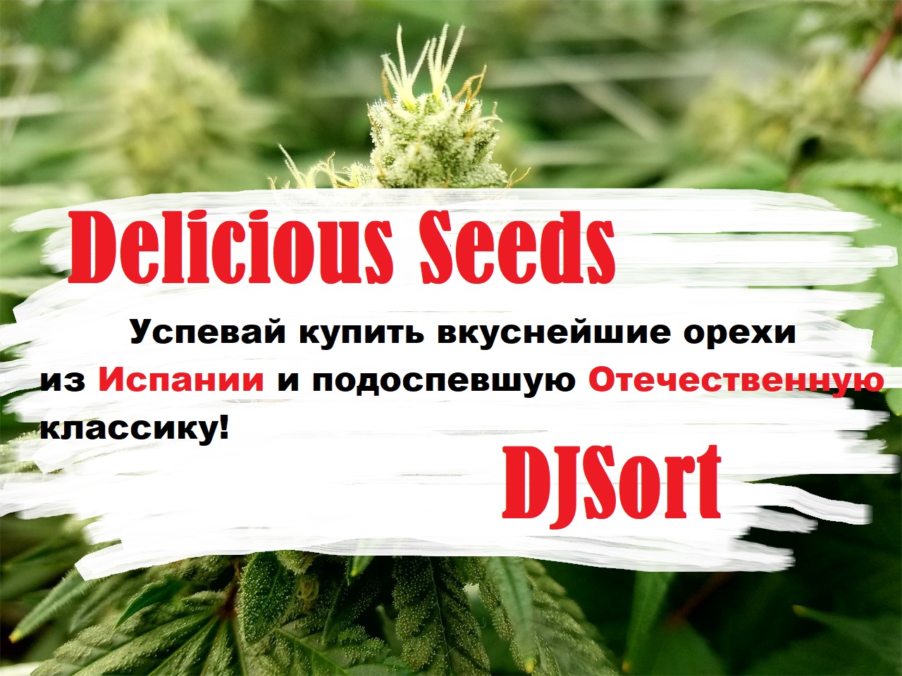 Восхитительные ремиксы зеленых симфоний