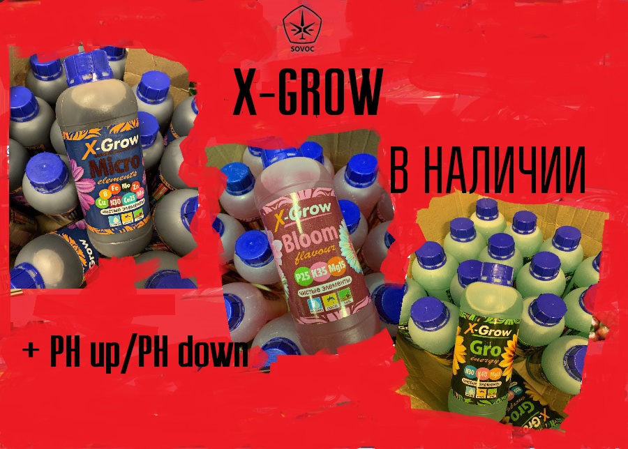 Живительные нектары категории XG