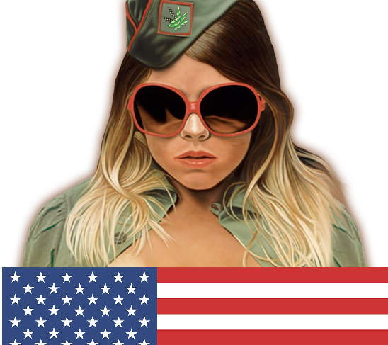 Не валяй дурака, Америка!