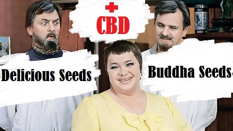 И тебя вылечат, и меня подлечат!