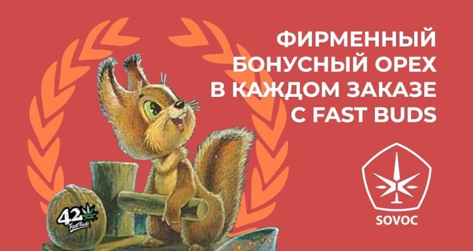 FastBuds +1. Щедрая Американка