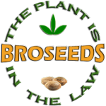 Бро, сеющий добро