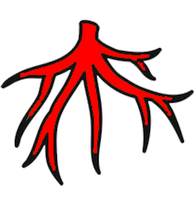 Не рекомендуется пересадка Не рекомендуется пересадка