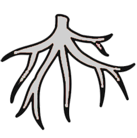 Нейтральный день для пересадки Нейтральный день для пересадки