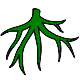 Рекомендуется пересадка Рекомендуется пересадка