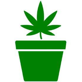 Рекомендуется посадка/проращивание Рекомендуется посадка/проращивание