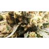 Big Altai Sativa Express, Фасовка: 5, изображение 7