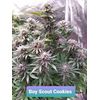 Boy Scout Cookies, Фасовка: 3, изображение 10