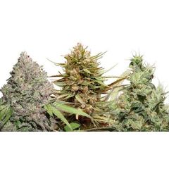 USA Auto Mix, Фасовка: 9