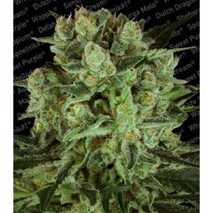 Durga Mata II CBD, Фасовка: 3