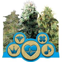 Medical MIX CBD, Фасовка: 5