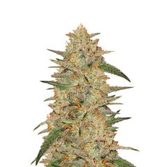 Wedding Cake Auto, Фасовка: 3