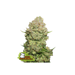 White Widow, Фасовка: 1