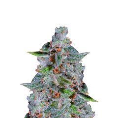 Original Cheese, Фасовка: 3