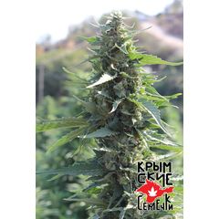 White Krim Widow, Фасовка: 5