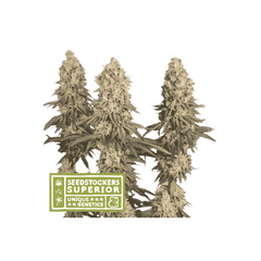 Mack and Crack, Фасовка: 1