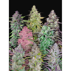 Mix Auto, Фасовка: 10