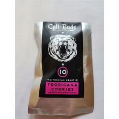 Tropicana Cookies Auto Cali 2023 Мавзолей, Фасовка: 10