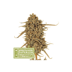 Thunder Banana, Фасовка: 1