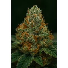 Apples & Banana, Фасовка: 3