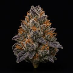 Oreoz, Фасовка: 3