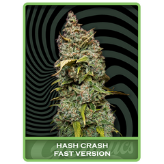 Hash Crash Fast, Фасовка: 3