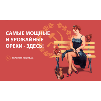 Самые мощные и урожайные орехи