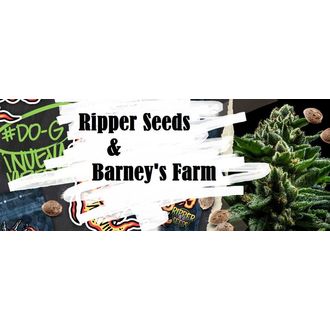 Приключения медвежонка Барни, которого чуть не выпотрошили