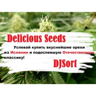 Восхитительные ремиксы зеленых симфоний