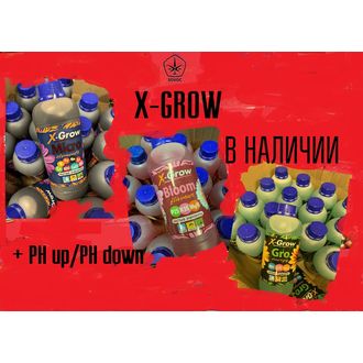 Живительные нектары категории XG