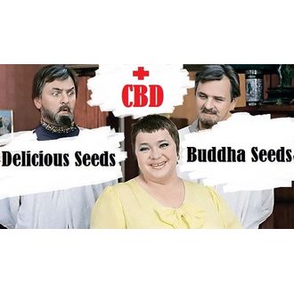 И тебя вылечат, и меня подлечат!