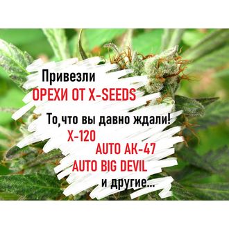 Иди за Х, за Иксом в смысле. В смысле за X-120