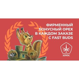 FastBuds +1. Щедрая Американка
