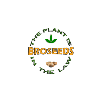 Бро, сеющий добро