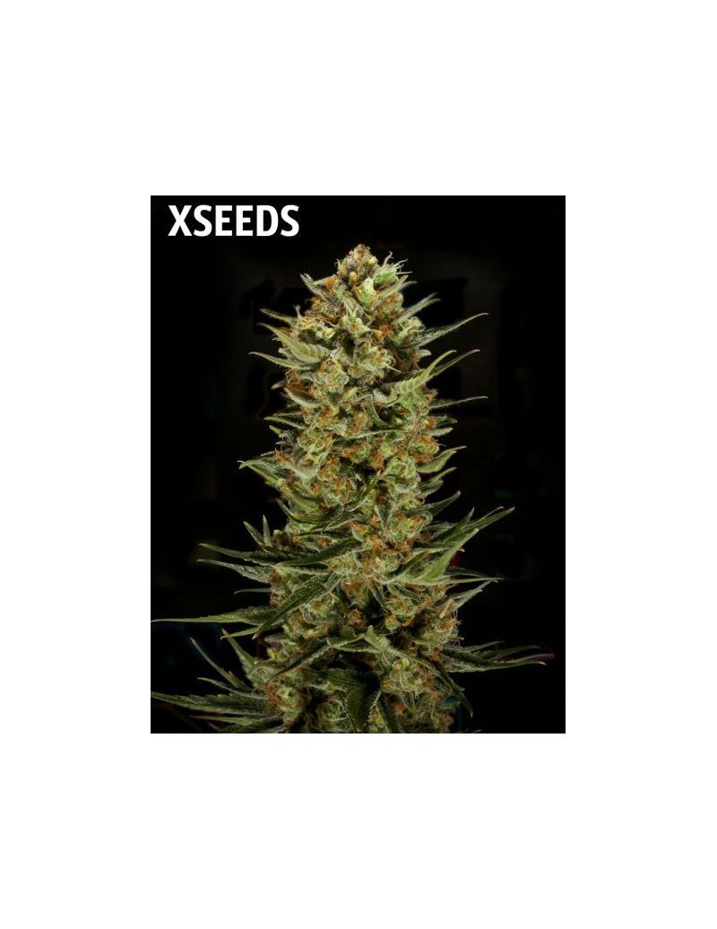 JILLYBEAN, Фасовка: 5, изображение 2