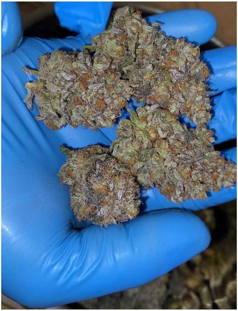 Bad Guy, Фасовка: 3, изображение 8