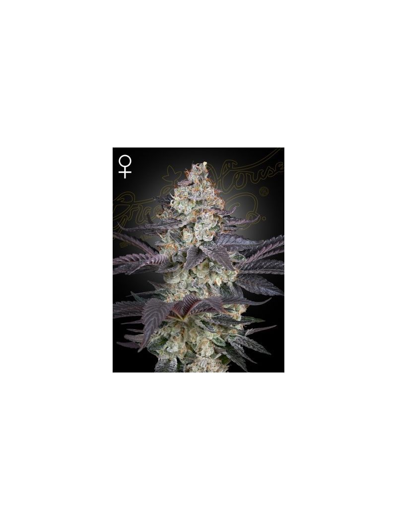 Ztrawberry, Фасовка: 3