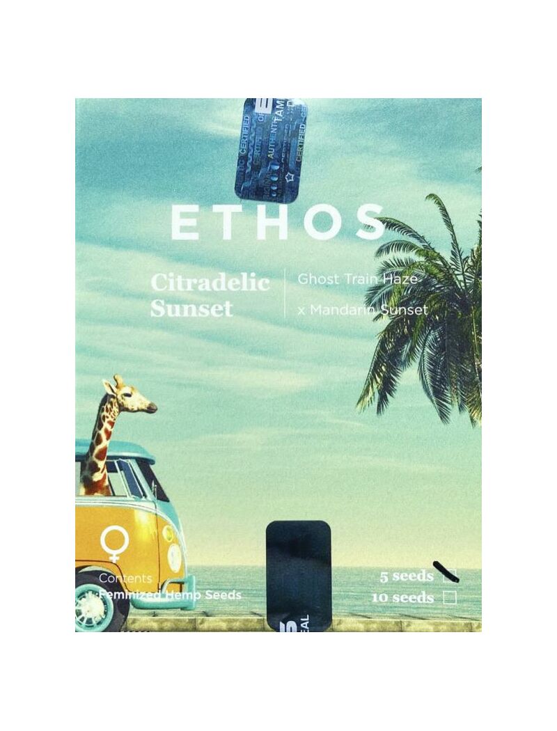 Citradelic Sunset, Фасовка: 5, изображение 3