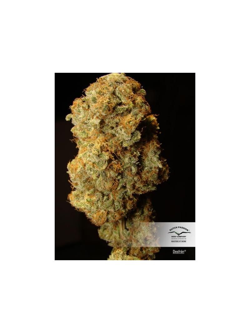 Desfran, Фасовка: 3, изображение 3