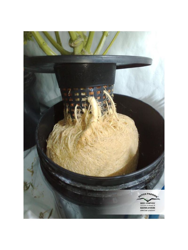 Think Different, Фасовка: 3, изображение 6