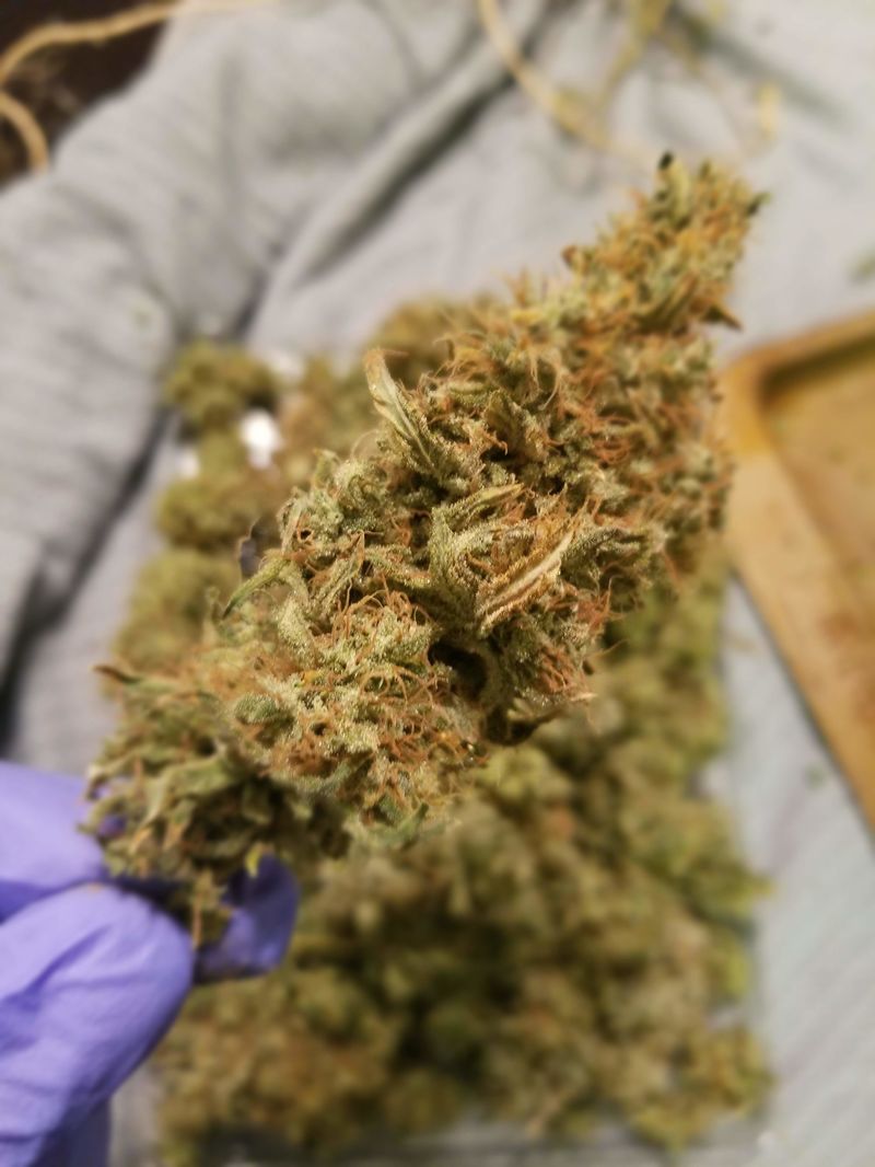 B-52, Фасовка: 3, изображение 2