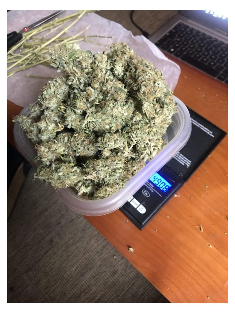 Baykal Express, Фасовка: 5, изображение 7