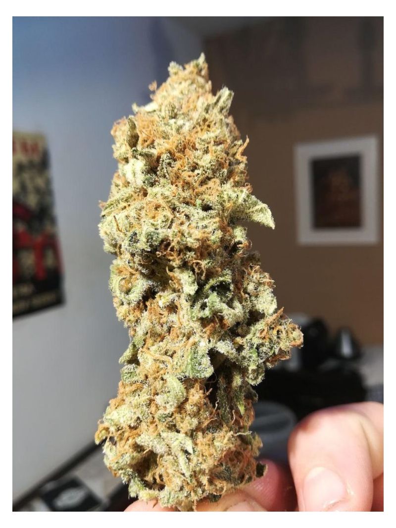 White Russian OG, Фасовка: 5, изображение 3