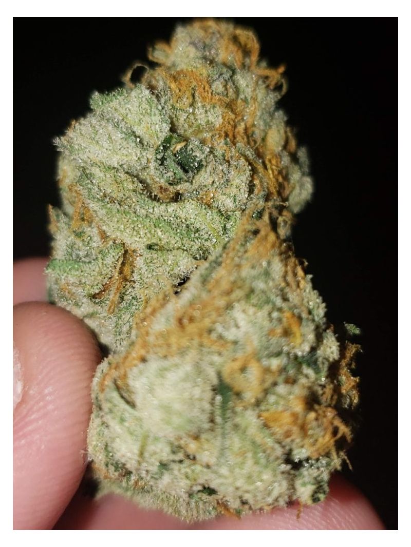 Kabul Express, Фасовка: 3, изображение 8