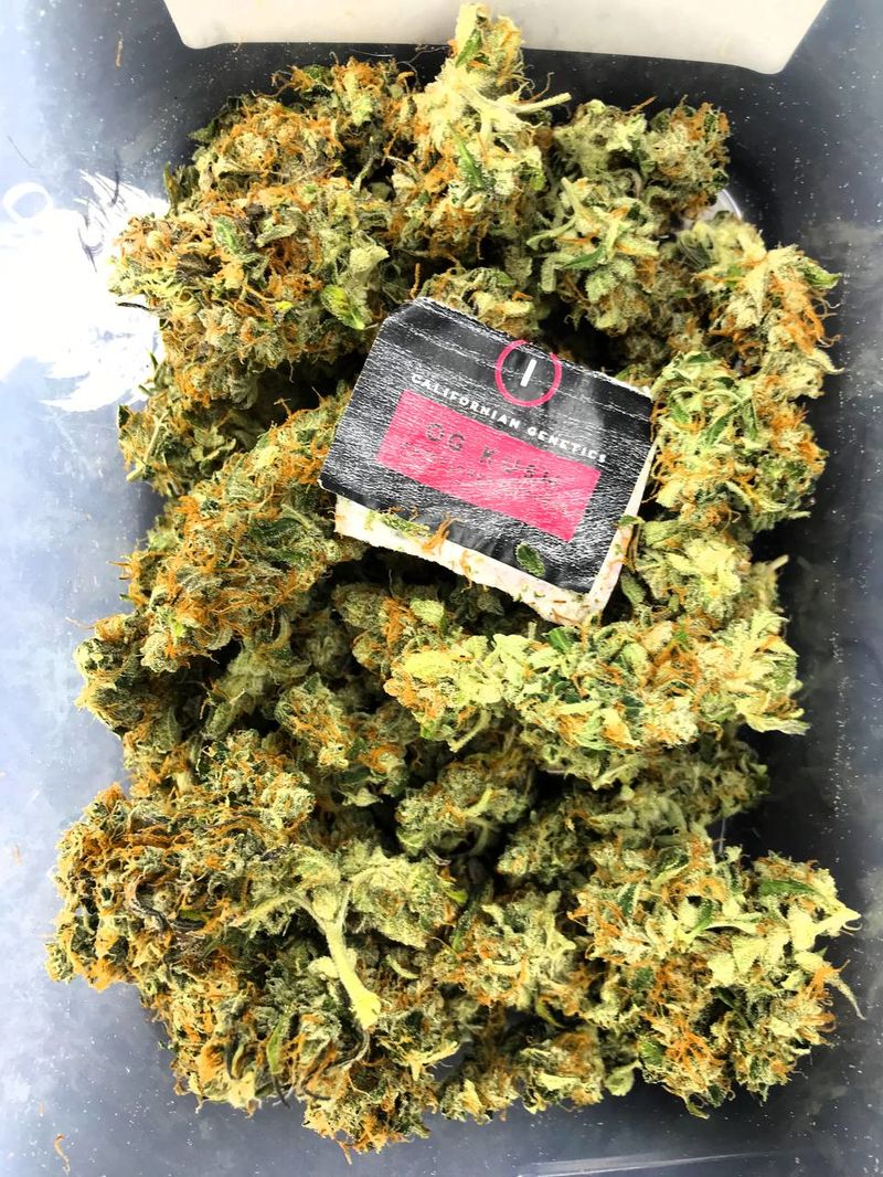 OG Kush Auto, Фасовка: 5, изображение 13