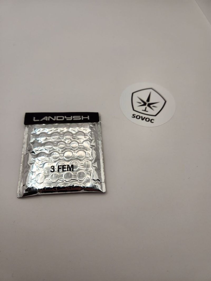 Landysh Fem VIP Seeds, Фасовка: 3