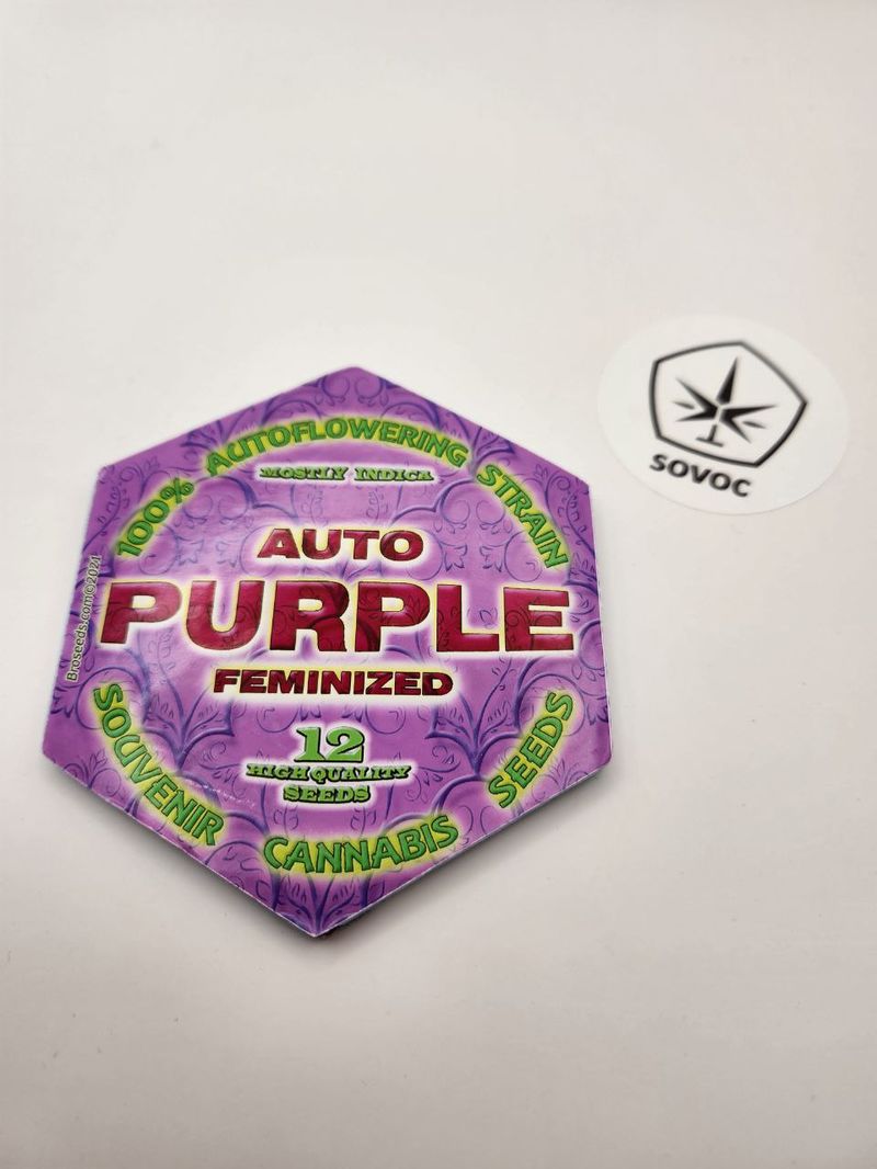 AutoPurple Fem BroSeeds, Фасовка: 12